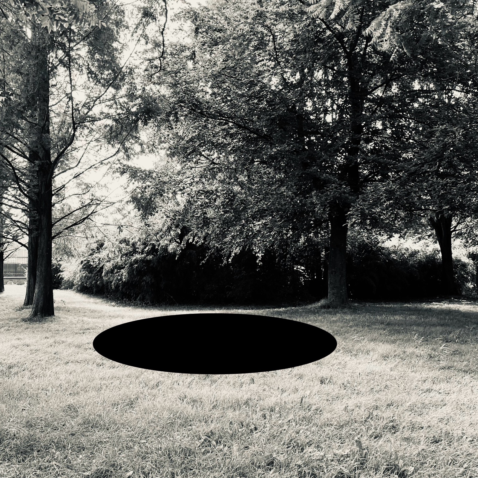 Land — photographie de Mario Alonso