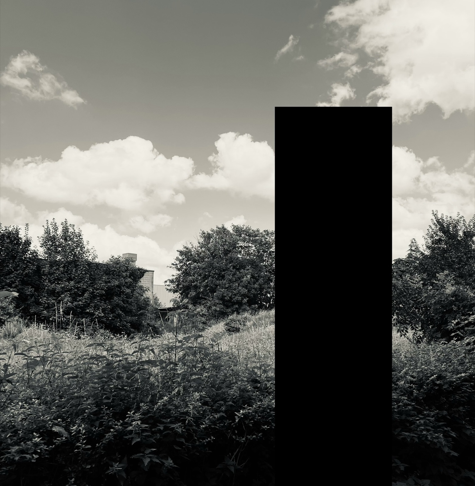 Land — photographie de Mario Alonso