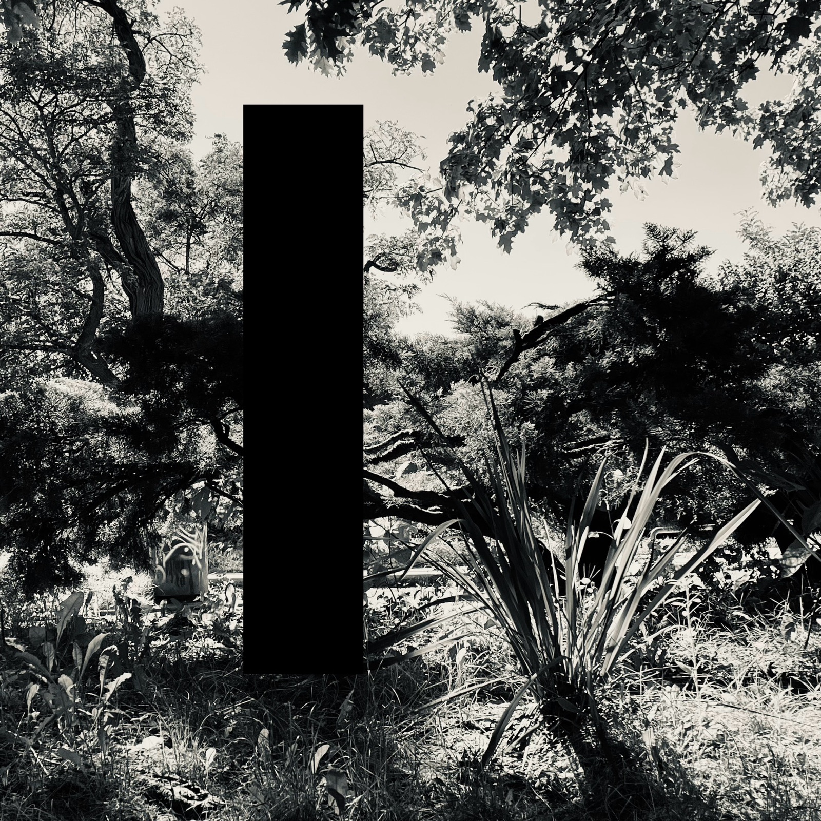 Land — photographie de Mario Alonso