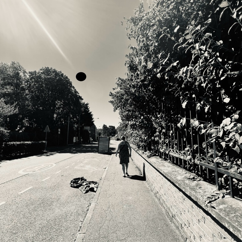 Road — photographie de Mario Alonso