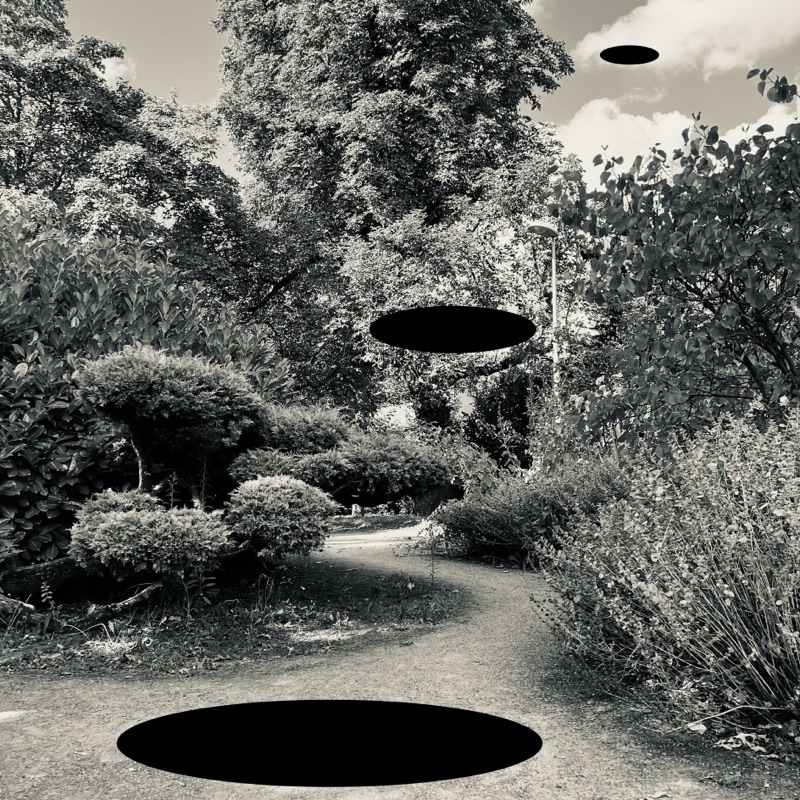 Road — photographie de Mario Alonso