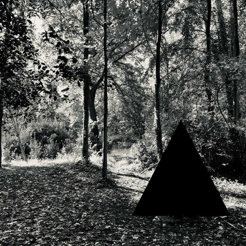 Tree — photographie de Mario Alonso
